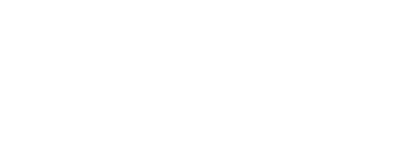 Ekobrain